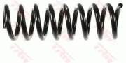 Fahrwerksfeder Hinterachse TRW JCS669