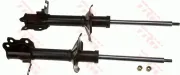 Stoßdämpfer Hinterachse TRW JGM3301T