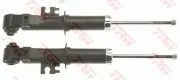 Stoßdämpfer Hinterachse TRW JGS1007T