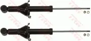 Stoßdämpfer Hinterachse TRW JGS173T