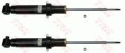 Stoßdämpfer Hinterachse TRW JGS205T