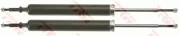 Stoßdämpfer Hinterachse TRW JGT1168T