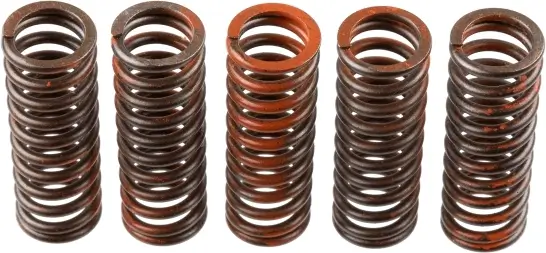 Kupplungsfedernsatz TRW MEF321-5