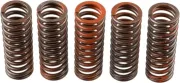 Kupplungsfedernsatz TRW MEF321-5