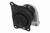 Lagerung, Motor vorne rechts VAICO V10-000052 Bild Lagerung, Motor vorne rechts VAICO V10-000052