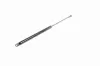 Gasfeder, Koffer-/Laderaum VAICO V10-0248 Bild Gasfeder, Koffer-/Laderaum VAICO V10-0248