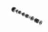Nockenwelle Auslassseite VAICO V10-0869 Bild Nockenwelle Auslassseite VAICO V10-0869