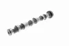 Nockenwelle Auslassseite VAICO V10-0869 Bild Nockenwelle Auslassseite VAICO V10-0869