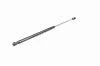 Gasfeder, Koffer-/Laderaum beidseitig VAICO V10-0988 Bild Gasfeder, Koffer-/Laderaum beidseitig VAICO V10-0988
