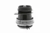 Lagerung, Motor hinten rechts VAICO V10-1221