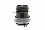 Lagerung, Motor hinten rechts VAICO V10-1221