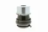 Lagerung, Motor hinten rechts VAICO V10-1254 Bild Lagerung, Motor hinten rechts VAICO V10-1254