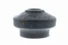 Lagerung, Motor vorne VAICO V10-1272 Bild Lagerung, Motor vorne VAICO V10-1272