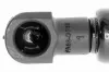 Gasfeder, Koffer-/Laderaum VAICO V10-2084 Bild Gasfeder, Koffer-/Laderaum VAICO V10-2084