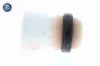 Anschlagpuffer, Federung Hinterachse VAICO V10-3364 Bild Anschlagpuffer, Federung Hinterachse VAICO V10-3364