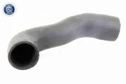 Ladeluftschlauch VAICO V10-3804