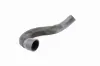 Ladeluftschlauch VAICO V10-3833 Bild Ladeluftschlauch VAICO V10-3833