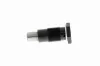 Spanner, Steuerkette VAICO V10-4459 Bild Spanner, Steuerkette VAICO V10-4459