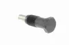 Spanner, Steuerkette VAICO V10-4528 Bild Spanner, Steuerkette VAICO V10-4528