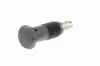 Spanner, Steuerkette VAICO V10-4528 Bild Spanner, Steuerkette VAICO V10-4528