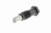 Spanner, Steuerkette VAICO V10-4528 Bild Spanner, Steuerkette VAICO V10-4528