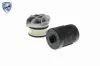 Hydraulikfilter, Lamellenkupplung (Allradantrieb) Hinterachse VAICO V10-5000 Bild Hydraulikfilter, Lamellenkupplung (Allradantrieb) Hinterachse VAICO V10-5000