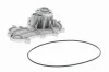 Wasserpumpe, Motorkühlung VAICO V10-50079 Bild Wasserpumpe, Motorkühlung VAICO V10-50079