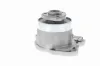 Wasserpumpe, Motorkühlung VAICO V10-50081 Bild Wasserpumpe, Motorkühlung VAICO V10-50081