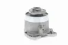 Wasserpumpe, Motorkühlung VAICO V10-50081 Bild Wasserpumpe, Motorkühlung VAICO V10-50081