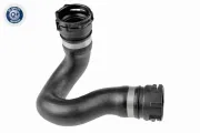 Kühlerschlauch oben VAICO V10-5531