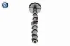 Nockenwellenversteller Einlassseite VAICO V10-5585 Bild Nockenwellenversteller Einlassseite VAICO V10-5585
