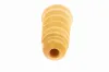 Anschlagpuffer, Federung Hinterachse VAICO V10-6031 Bild Anschlagpuffer, Federung Hinterachse VAICO V10-6031
