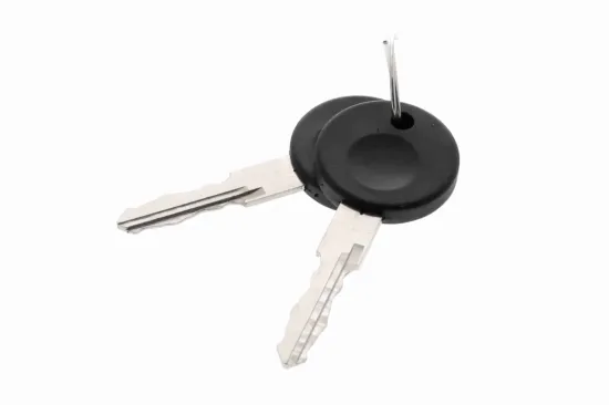 Türaußengriff vorne rechts VAICO V10-6164 Bild Türaußengriff vorne rechts VAICO V10-6164