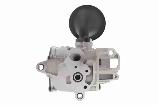 Ölpumpe VAICO V10-8003 Bild Ölpumpe VAICO V10-8003