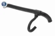 Kühlerschlauch oben VAICO V10-8855