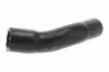 Kühlerschlauch VAICO V10-8979 Bild Kühlerschlauch VAICO V10-8979
