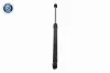 Gasfeder, Koffer-/Laderaum beidseitig VAICO V10-9288 Bild Gasfeder, Koffer-/Laderaum beidseitig VAICO V10-9288