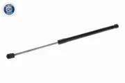 Gasfeder, Koffer-/Laderaum beidseitig VAICO V10-9295