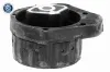 Lagerung, Automatikgetriebe getriebeseitig VAICO V20-0799