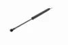Gasfeder, Koffer-/Laderaum hinten links VAICO V20-1005 Bild Gasfeder, Koffer-/Laderaum hinten links VAICO V20-1005