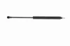 Gasfeder, Koffer-/Laderaum hinten links VAICO V20-1005 Bild Gasfeder, Koffer-/Laderaum hinten links VAICO V20-1005