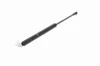 Gasfeder, Koffer-/Laderaum hinten links VAICO V20-1005 Bild Gasfeder, Koffer-/Laderaum hinten links VAICO V20-1005