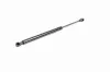 Gasfeder, Koffer-/Laderaum beidseitig VAICO V20-1007 Bild Gasfeder, Koffer-/Laderaum beidseitig VAICO V20-1007