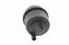 Ausgleichsbehälter, Hydrauliköl (Servolenkung) VAICO V20-1009 Bild Ausgleichsbehälter, Hydrauliköl (Servolenkung) VAICO V20-1009