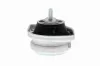 Lagerung, Motor vorne rechts VAICO V20-1036 Bild Lagerung, Motor vorne rechts VAICO V20-1036