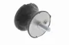 Lagerung, Motor getriebeseitig VAICO V20-1073 Bild Lagerung, Motor getriebeseitig VAICO V20-1073