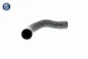 Kühlerschlauch oben VAICO V20-1241