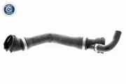 Kühlerschlauch unten VAICO V20-1331