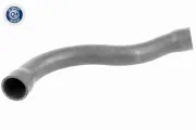 Kühlerschlauch links oben VAICO V20-1750
