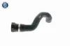 Kühlerschlauch rechts unten VAICO V20-1774